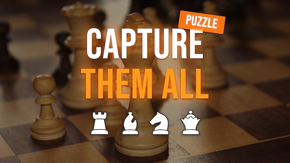 Capture Them All Puzzle Game